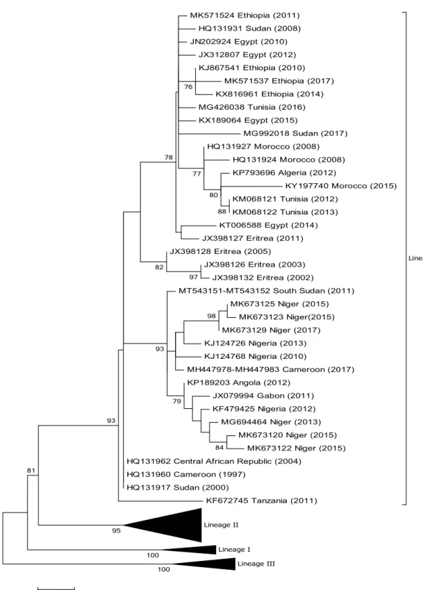 Fig. 2    Phylogenetic tree based on partial sequences of the N protein  (217 bp) gene of representative PPRV isolates of lineage IV
