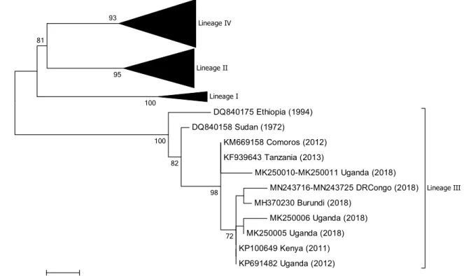Fig. 3    Phylogenetic tree based on partial sequences of the N pro- pro-tein (217 bp) gene of from representative PPRV isolates of lineage  III