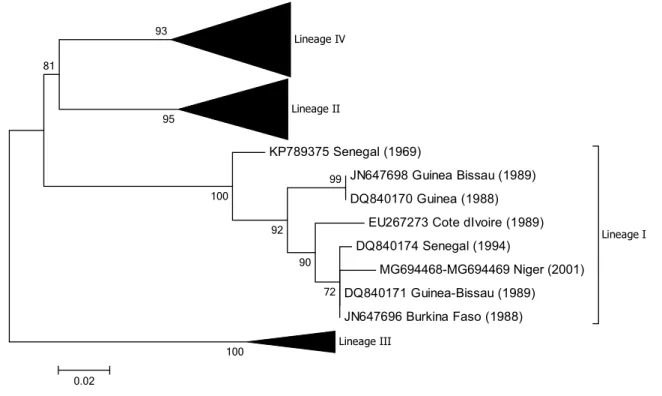 Fig. 5    Phylogenetic tree based on partial sequences of the N pro- pro-tein (217 bp) gene of representative PPRV isolates of lineage I