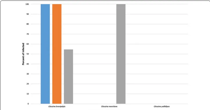 Fig. 6  Percentage of infected tsetse flies (total n = 24) per sampling area detected using 18S PCR-RFLP
