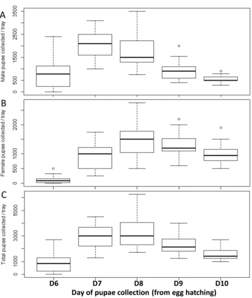 Table 2. Rack pupal production estimation in Aedes aegypti using the FAO/IAEA larval diet and feeding regime.