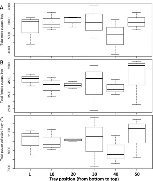 Figure 4. Number of (A) male pupae, (B) female pupae, and (C) total pupae as a function of the position of the rearing tray inside the rack in Aedes aegypti