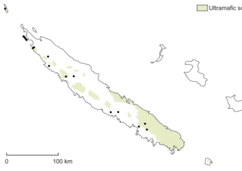 Fig. 1. Distribution of Ventilago buxoides ( ● ) in New Caledonia.
