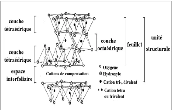 Figure I-5 : Représentation schématique de la structure d’une montmorillonite [21]. 
