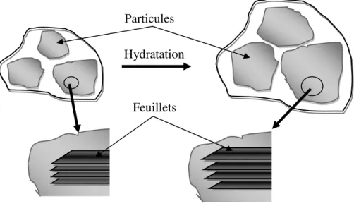 Figure I-9 : Argile gonflante après hydratation. 