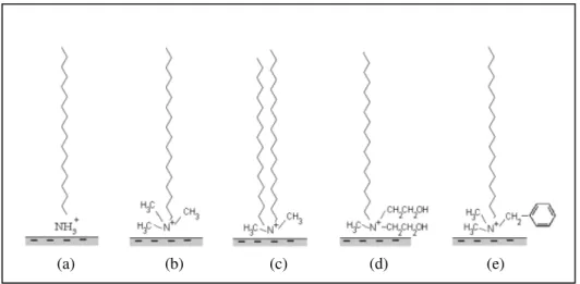 Figure I-10 : Différents types de tensioactifs [32]. 