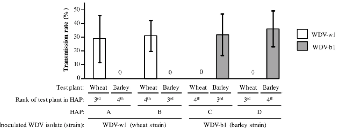 Figure  3.  Inoculation  of  WDV-w1  or  WDV-b1  isolates  to  wheat  and  barley  plants  using  host  alternation procedures (HAPs)
