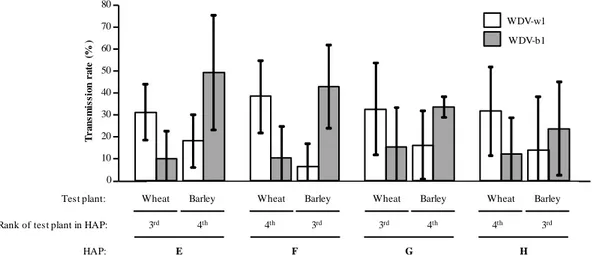 Figure  5.  Co-inoculation  of  WDV-w1  and  WDV-b1  isolates  to  wheat  and  barley  plants  using  host  alternation  procedures  (HAP)