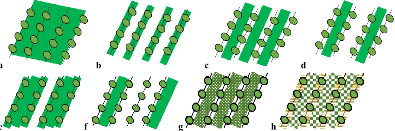 Figure 4. The spatial design of some service plant management strategies. The letters correspond to: ‘a’ full  cover; ‘b’ row cover; ‘c’ row cover; ‘d’ one-every-two rows cover; ‘e’ row and one-every-two  inter-rows cover; ‘f’ one-every-three inter-inter-r