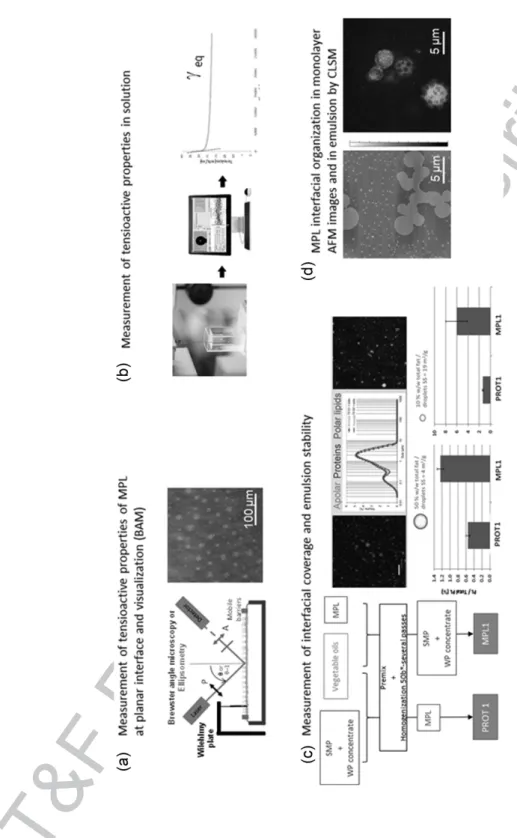 FIGURE 9.8Overview of the main physical characterizations of MPL reported in literature