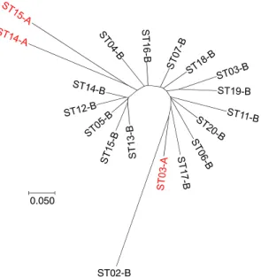 Figure 2.  Dendrogram (NJTree) of the genetic relationship between subsamples defined as combinations of  group A or B and sampling station (ST) based on Cavalli-Sforza and Edwards chord distance calculated with six  loci (Aria2, Aria3, Aria4, Aria5, Aria1