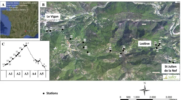Figure 5.  Localization (A), map (B) and profile (C) of the study area. Red dots and numbers indicate the  sampling stations