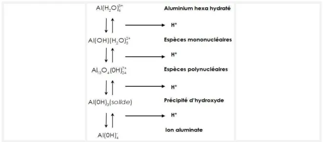 Figure 1.4 : Produit d’hydrolyse de l’aluminium 
