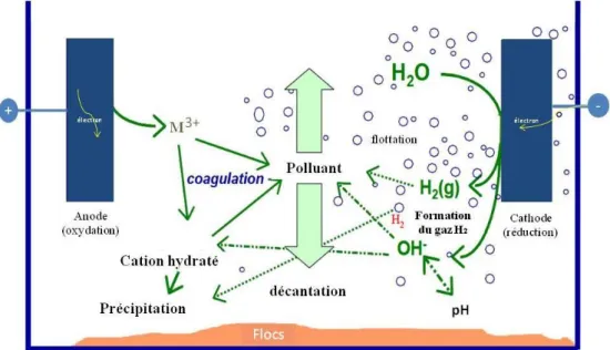 Figure I-9 : Schéma du principe de l'électrocoagulation. 