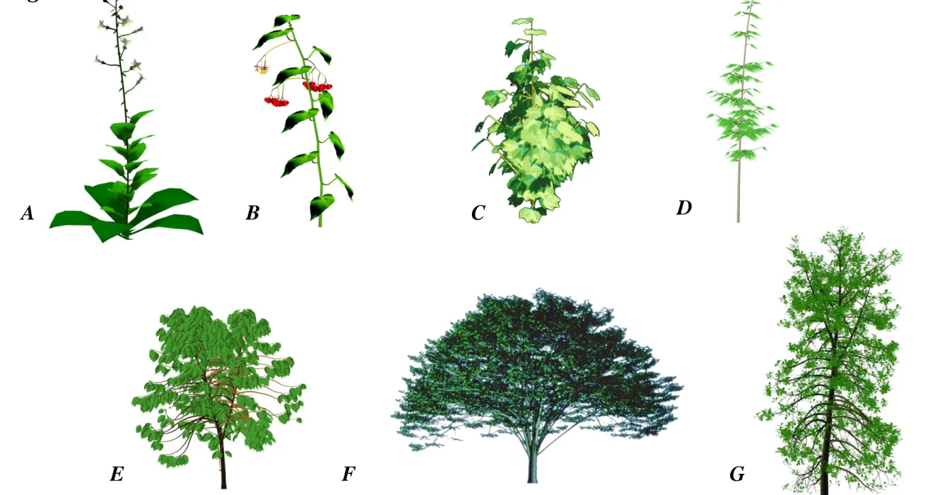 Figure 4   Downloaded from https://academic.oup.com/aob/advance-article/doi/10.1093/aob/mcaa172/5910892 by cirad-4 user on 27 November 2020