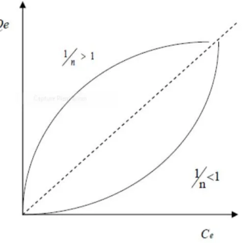 Figure II-5 : courbe expérimentale de Freundlich ln Q e  = f(C e )  II.9.Modèle d’adsorption : 