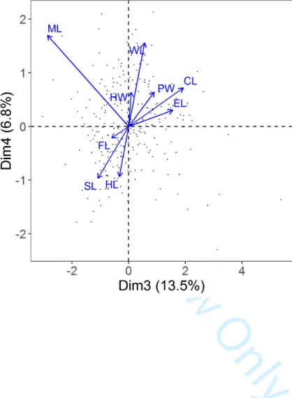 FIGURE S6. Third and fourth axis of a principal component analysis of trait  data. HL =  relative  head  length;  HW  =  relative  head  width;  ML  =  relative  mandible  length;  CL  =  relative  clypeus length; SL = relative scape length; EL = relative 
