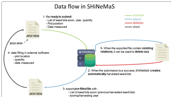 Fig. 2  Data flow in SHiNeMaS. SHiNeMaS has been designed to work efficiently with files