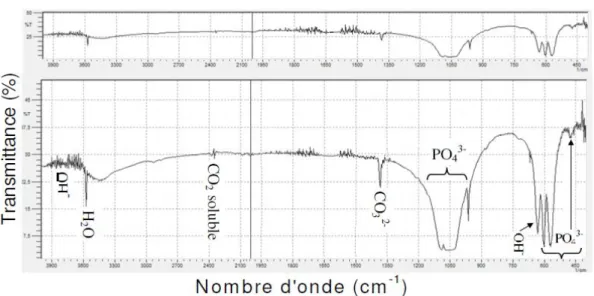 Figure  15 : Spectre infrarouge d’HAP 