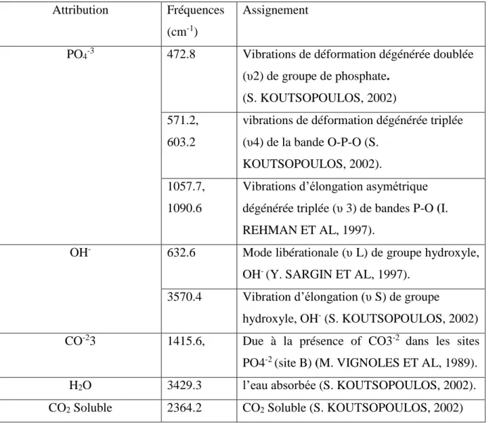 Tableau   2 : Positions et intensités des bandes infrarouges de l’hydroxyapatite   Attribution  Fréquences 