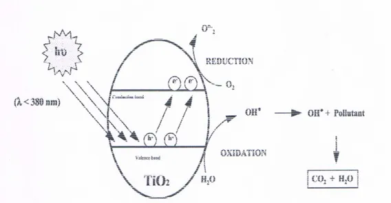 Figure 8 : Schéma du processus photo-catalytique dans une particule de TiO 2 