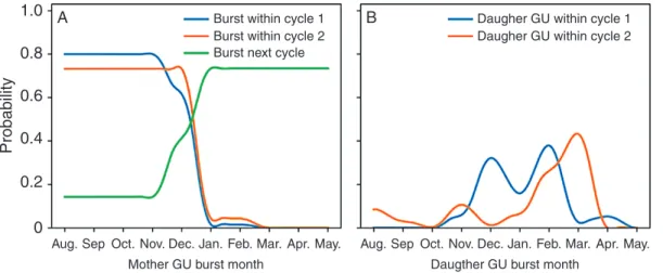 Fig. 4.  (A) Probability that a mother growth unit (GU) produces at least one daughter GU within the same cycle or during the following cycle (vegetative burst  between cycles 1 and 2) according to its burst month
