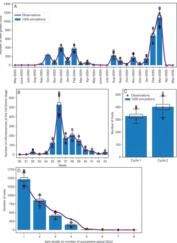 Fig. 7.  Global characterization of model simulation, with the blue histogram and boxplots representing, respectively, the average and distribution of 1000 simu- simu-lations of three mango trees during two growing cycles