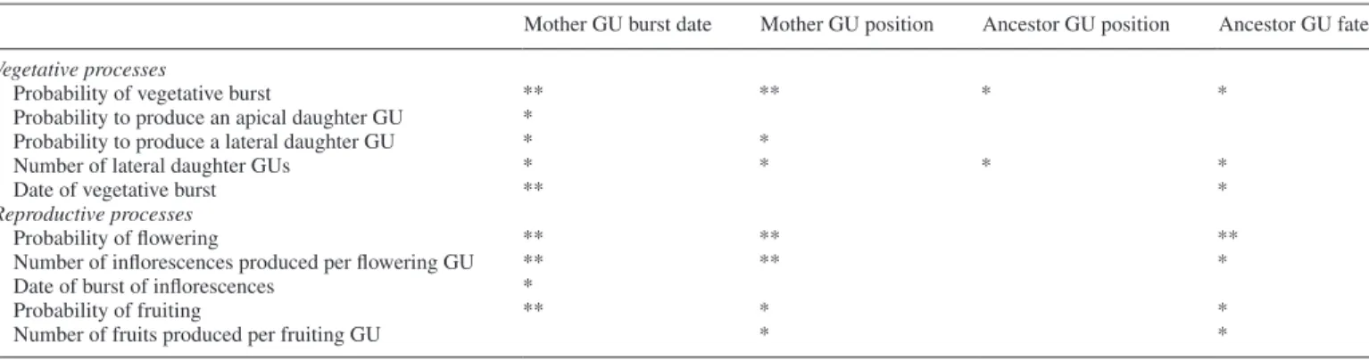 Table 4.  Influence of the temporal and structural architectural factors (columns) on individual processes of vegetative and reproductive  development at the growth unit (GU) scale (rows)