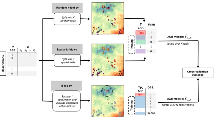 Fig. 6 Work ﬂ ow of model cross-validation strategies. Schematic illustration of the three strategies used for model cross-validation (random K -fold CV, spatial K -fold CV, buffered leave-one-out CV)