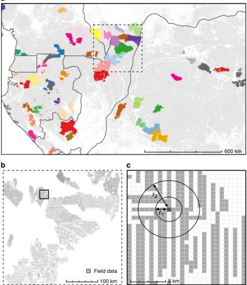 Fig. 3 Assessment of predictive performance in a spatially structured environment. a Clustering of ﬁ eld data into 44 spatial folds (bright colors) used in spatial K -fold CV, superimposed over the spatial distribution of moist forests 61 (light gray) and 