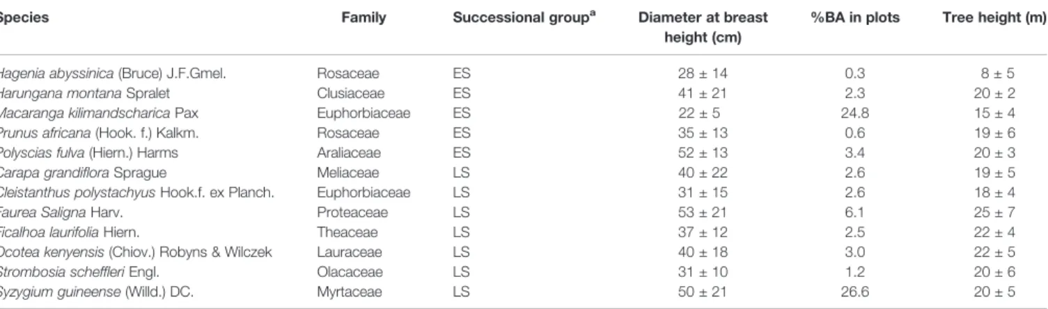 TABLE 1 | Description of early-successional (ES) and late-successional (LS) tree species investigated in this study.