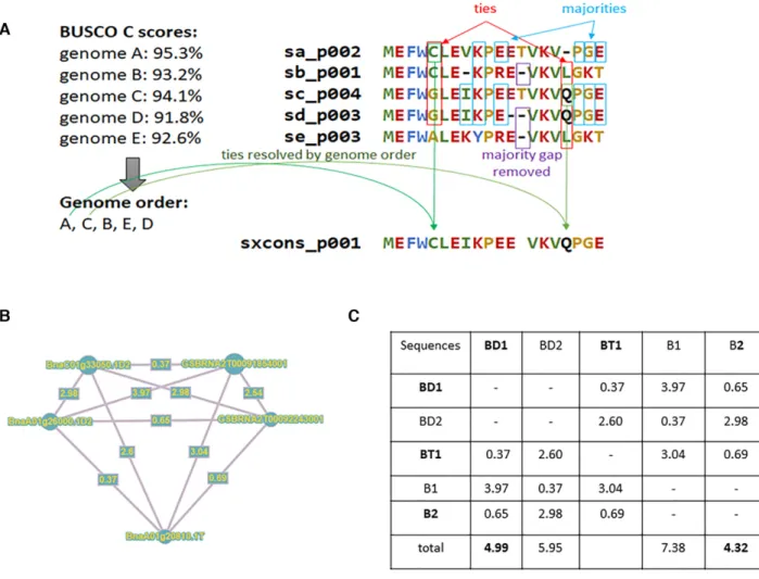 Figure 1. Pangene construction. (A) Schema illustrating the creation of consensus sequences
