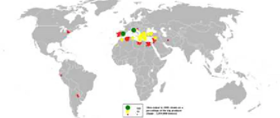 Figure 01 :L'oléiculture mondiale en 2005(anonyme, 2018).