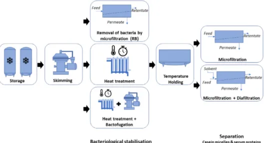 Fig. 1. Possible  sequences  of  unit operation  associated  with  the  4 considered process  types