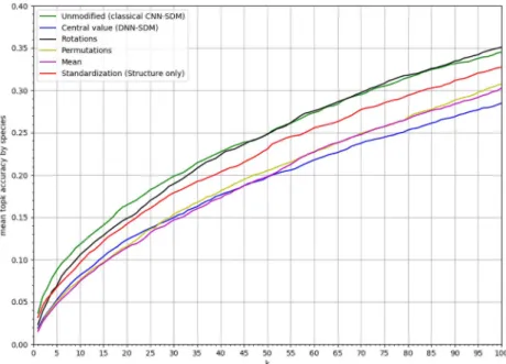 Fig 8. AUC per species. Boxplots of AUC and TSS of CNN-SDM, and RF for all species.