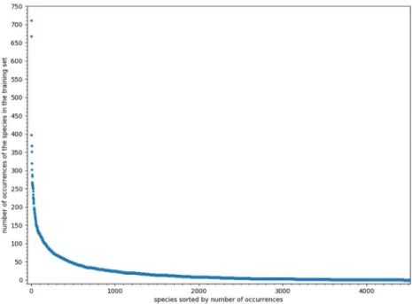 Fig 1. Occurrences’ distribution. Distribution of occurrences in the training set (including validation set), species are ordered by frequency.