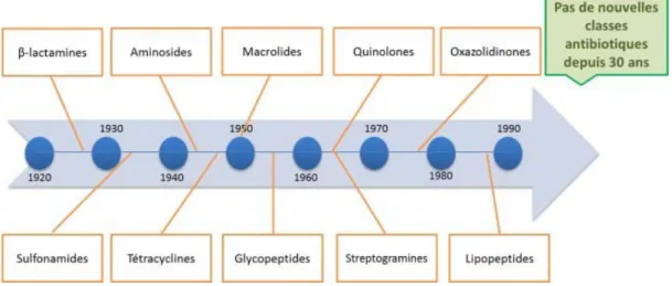 Figure 4: Chronologie de la découverte des principales classes d'antibiotiques [34]. 