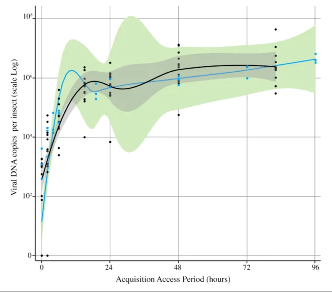 Fig. 3. Kinetics of ALCV accumulation in A. craccivora. Viral accumulation was assessed by monitoring viral DNA contents with qPCR on  individuals that were given AAPs of 2–82 h (black dots) or 2–96 h (blue dots)