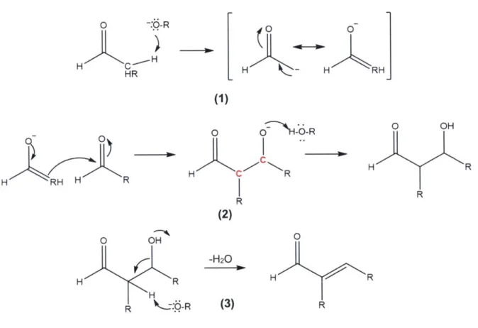 Figure 2-1. Base-catalyzed  mechanism  for  aldol  condensation  of a generic  carbonyl  compound.