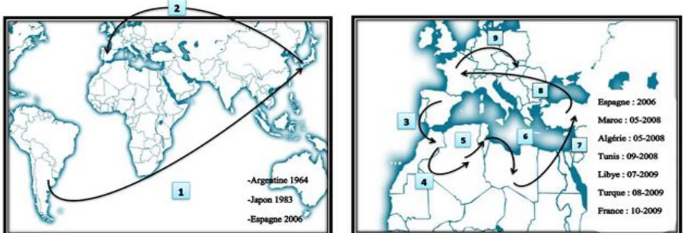 Figure 2: Répartition mondiale de T.absoluta  entre (1964 et 2006) à gauche, (2006 et  2010) à droite