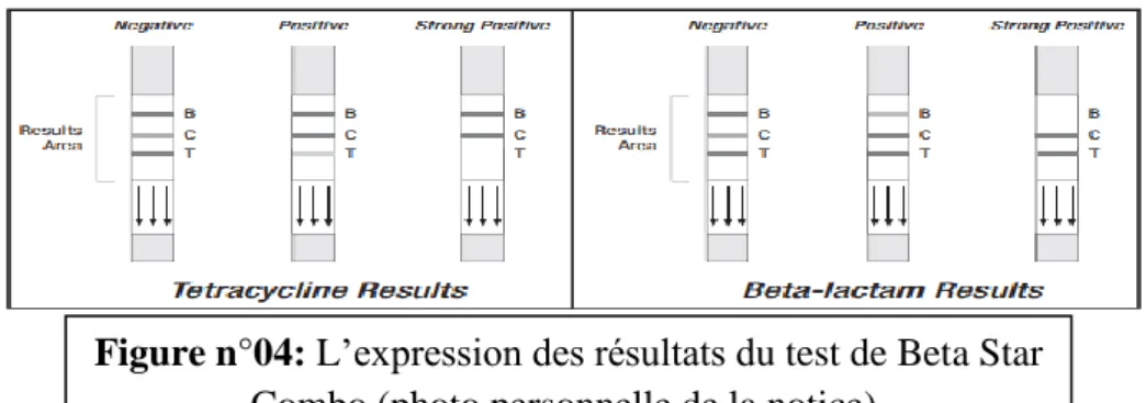 Figure n°04: L’expression des résultats du test de Beta Star Combo (photo personnelle de la notice).