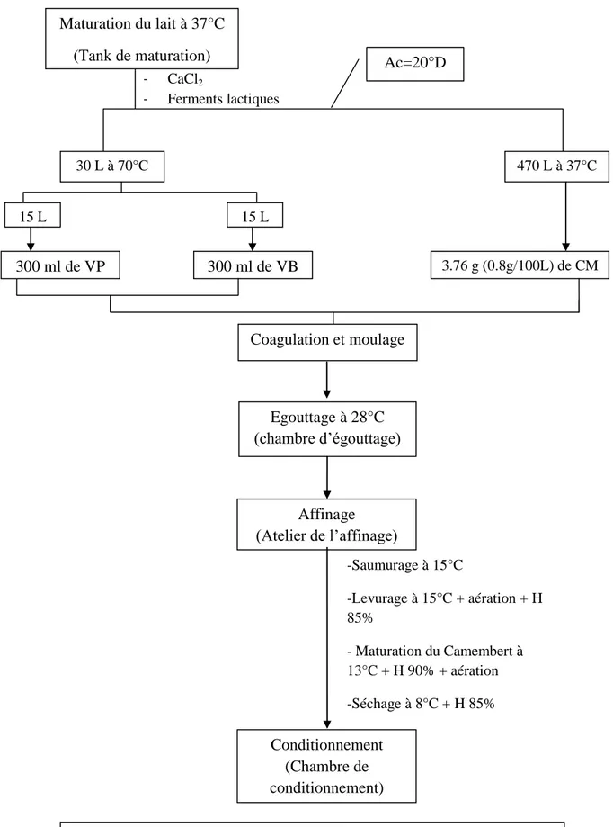 Figure n° 05 : Diagramme de production de fromage à pâte molle type  Camembert par les trois types de coagulases  