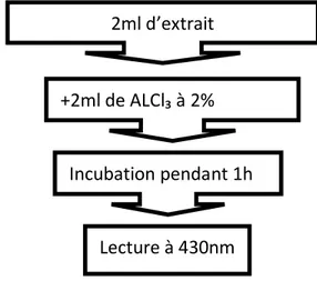 Figure 09: Dosage des flavonoïdes totaux par la méthode de (Bahorun et al., 1996). 