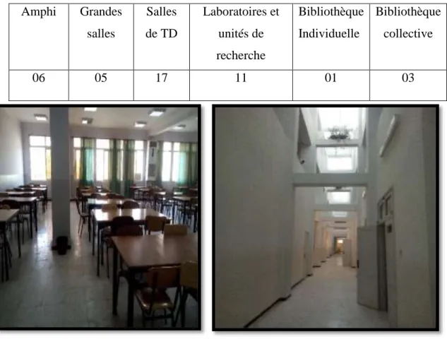 Tableau 02 : Infrastructure de la faculté. 