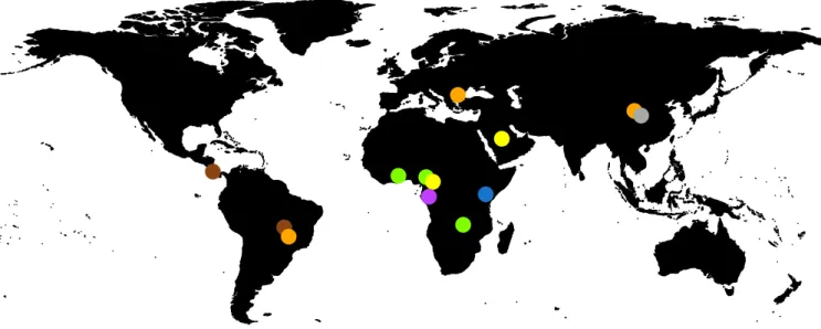 FIG 1 Geographic distribution of the currently known bat RVA GCs. The colored dots on the map represent the circulating genotypes at the speci ﬁ ed locations according to the GCs shown in Table 3.