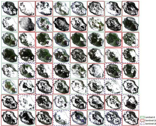 Fig. 5. Thumbnails of the 64 images in the time series used to produce the 2017 land cover map with a distinction of the sensors used: Sentinel-2A, Sentinel-2B and Landsat-8.