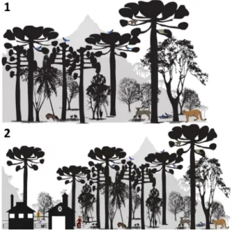 Fig. 1. Scheme of the Araucaria Forest System (adapted from Bogoni et al., 2020). 1.