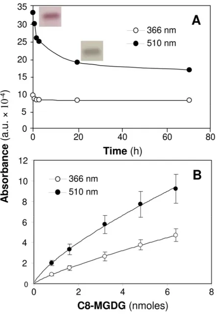 Figure 2: Comparison of C8-MGDG absorbances at 510 nm and 366 nm after separation by 