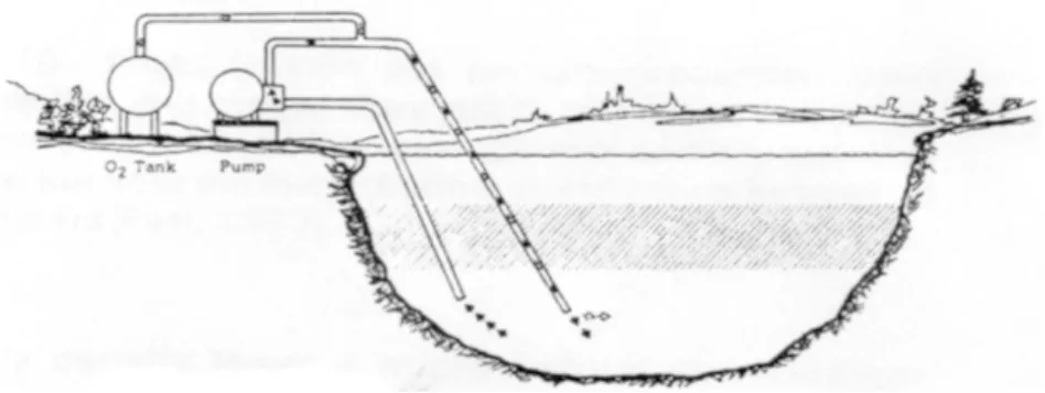 Figure 5: Side-Stream Pumping (S.S.P)» ([3], [5]). 