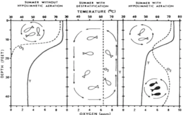 Figure 6 : Influence de l’aération artificielle sur les poissons d’un lac eutrophe  durant les mois d’été [5]